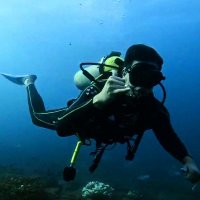 Miguel Merín (@miguelmerin4) 's Twitter Profile
