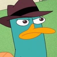 perry the platypus π (@darren95853993) 's Twitter Profile