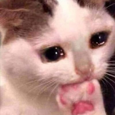 vsemoykot's profile picture. I don't wanna be here, I don't wanna be anywhere