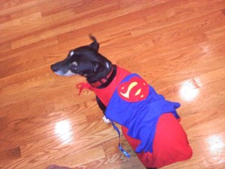 cwalsh122's profile picture. 