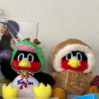 RzRoro17's profile picture. WBCきっかけで野球にハマった初心者⚾️ちなつば、ちなヤク #2896🐧💕 球団マスコット大好き❤無言フォローOKです😊無言フォロー失礼します🙇‍♀️