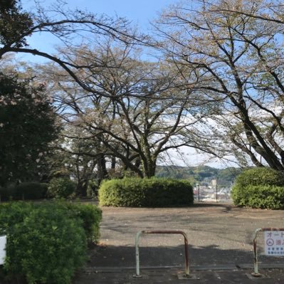 獅子闘十嵐さんのプロフィール画像