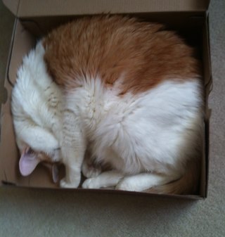 JenniferRiver41's profile picture. ELL Facilitator