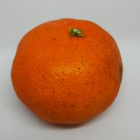 【福岡/糸島】鉄道模型カスタムショップ Loop Orange 201【フルキャッシュレス】 (@looporange201) 's Twitter Profile