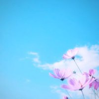 ナギ (@ha0003na) 's Twitter Profile Photo ナギ (@ha0003na) 's Twitter Profile Photo