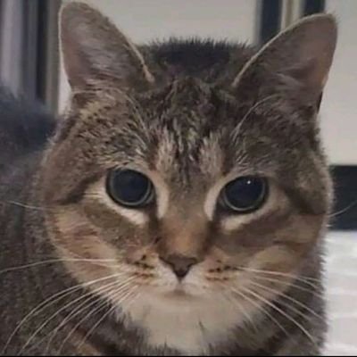 Noob7383's profile picture. 