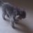 erndit827's profile image