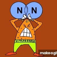 Senjuti Sinharoy (@ssinhar) 's Twitter Profile