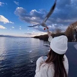 Pharip264253's profile picture. To feel, to love, to suffer, to devote herself will always be the text of the life of a woman.