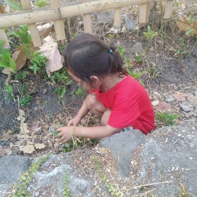 ione_taufik's profile picture. Normally person