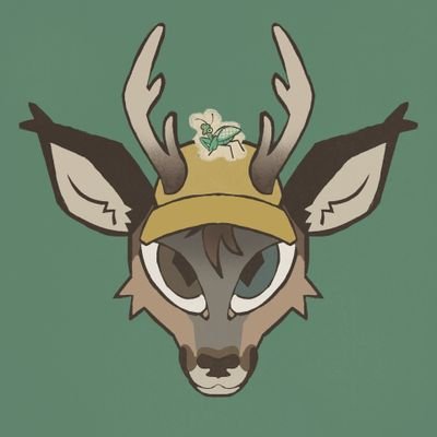 Caimさんのプロフィール画像