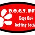 DogsDFW (@dogsdfw) Twitter profile photo