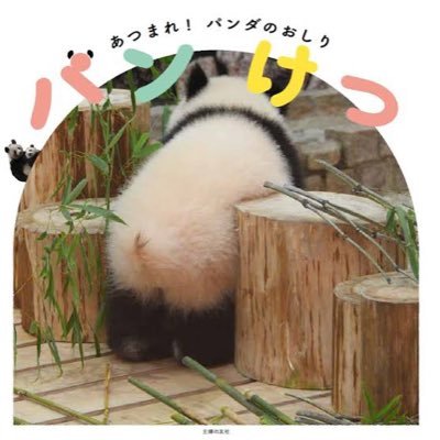福島→関東 岡崎④🔰 多趣味垢 🍻ｺﾞﾍ