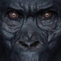 Zak & Ben (@zakandben) 's Twitter Profile