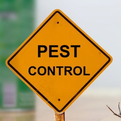 Pulverizer1111's profile picture. In case of Rats, cockroaches, Zionists, or any other infestation in your lands. 

Call: 415-111-423 for Pest control