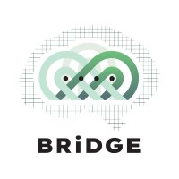 BRIDGE(@BRIDGE_DataGov) 's Twitter Profile Photo