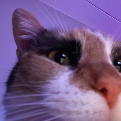 vannahwebsterr's profile picture. 🍣🐱♉️🪴🦋