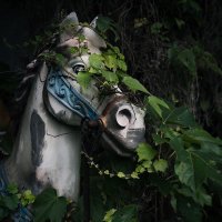 バナ🌿廃墟 (@banagra2822) 's Twitter Profile Photo