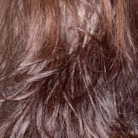 Eva Mydah (@evamydah) 's Twitter Profile