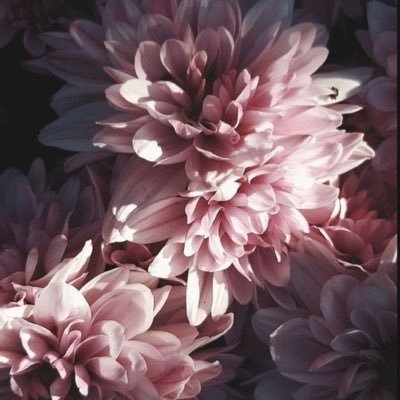 tori_hiki0930's profile picture. 相場違い返信していません
