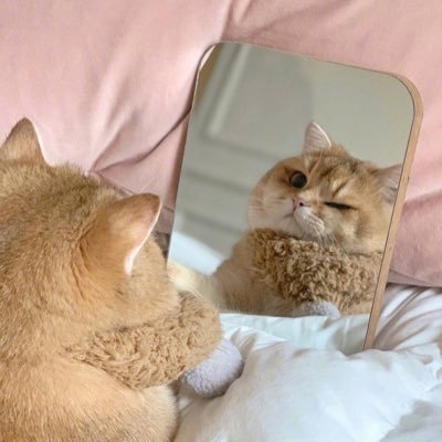 _nrnasuha's profile picture. 💐