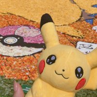 なぴ (@napipipo25) 's Twitter Profile
