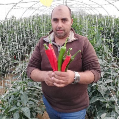 مهندس زراعى صاحب مشتل لانتاج شتلات خضار 🌽