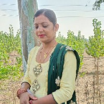 Mandeep3363's profile picture. 