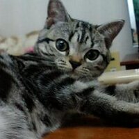 Mamoru Murayama (@mamorunner) 's Twitter Profile Photo