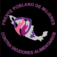 F. Poblano de Mujeres vs Deudores Alimentarios (@fnmcdapuebla) 's Twitter Profile