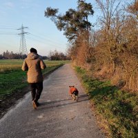 Kevin (@90schwarzkevin) 's Twitter Profile Photo