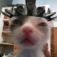 DadduWhisker (@reality1812) 's Twitter Profile