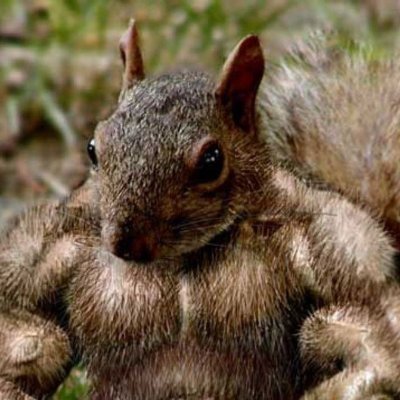 3Killer0's profile picture. 