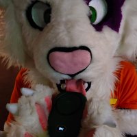 Kim Cat ๐ Confuror 2024 (@kimz_cat) 's Twitter Profile