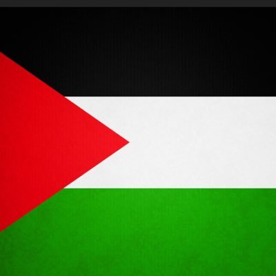 Nous Somme Tous Palestinien