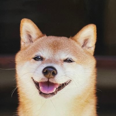 MDnRCpWbwcSGtcR's profile picture. 