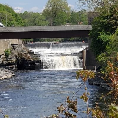 Golffan28501626's profile picture. 