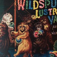 Gordon'sCats (@wildspuryarns) 's Twitter Profile Photo Gordon'sCats (@wildspuryarns) 's Twitter Profile Photo