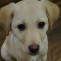 ** (@j04466237) 's Twitter Profile