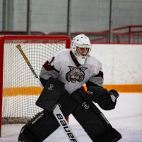 caleb berardelli (@caleb_b48) 's Twitter Profile
