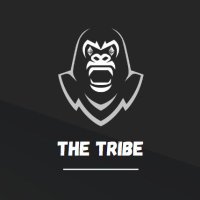 The Tribe (@thetribetrades) 's Twitter Profile Photo The Tribe (@thetribetrades) 's Twitter Profile Photo