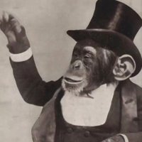 tj (@tjpoof) 's Twitter Profile