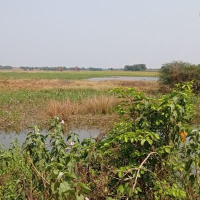 KadagandlaMadhu's profile picture. anger