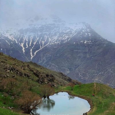 AlswdaAllh78517's profile picture. 