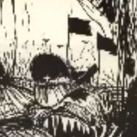 ø (@myharvestzone) 's Twitter Profile