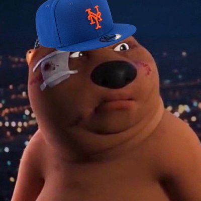 Lindor enthusiast | Mets fan #LGM | Knicks | Islanders are good | And the Jets are the Jets. #NewYorkForever