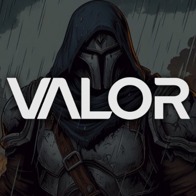 VLR_VALORGAMING Profile Picture