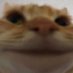 Life 𝕾𝖚𝖈𝖐𝖘 (@alfiuzza) Twitter profile photo Life 𝕾𝖚𝖈𝖐𝖘 (@alfiuzza) Twitter profile photo