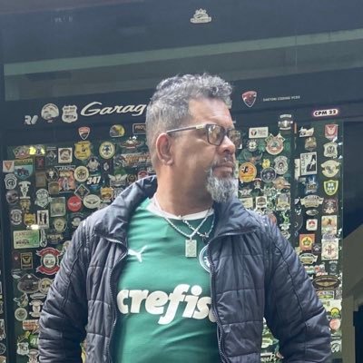 somos uma família palmeiras