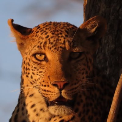 Company Director and Board Advisor. Connecting people with great ideas and great solutions.